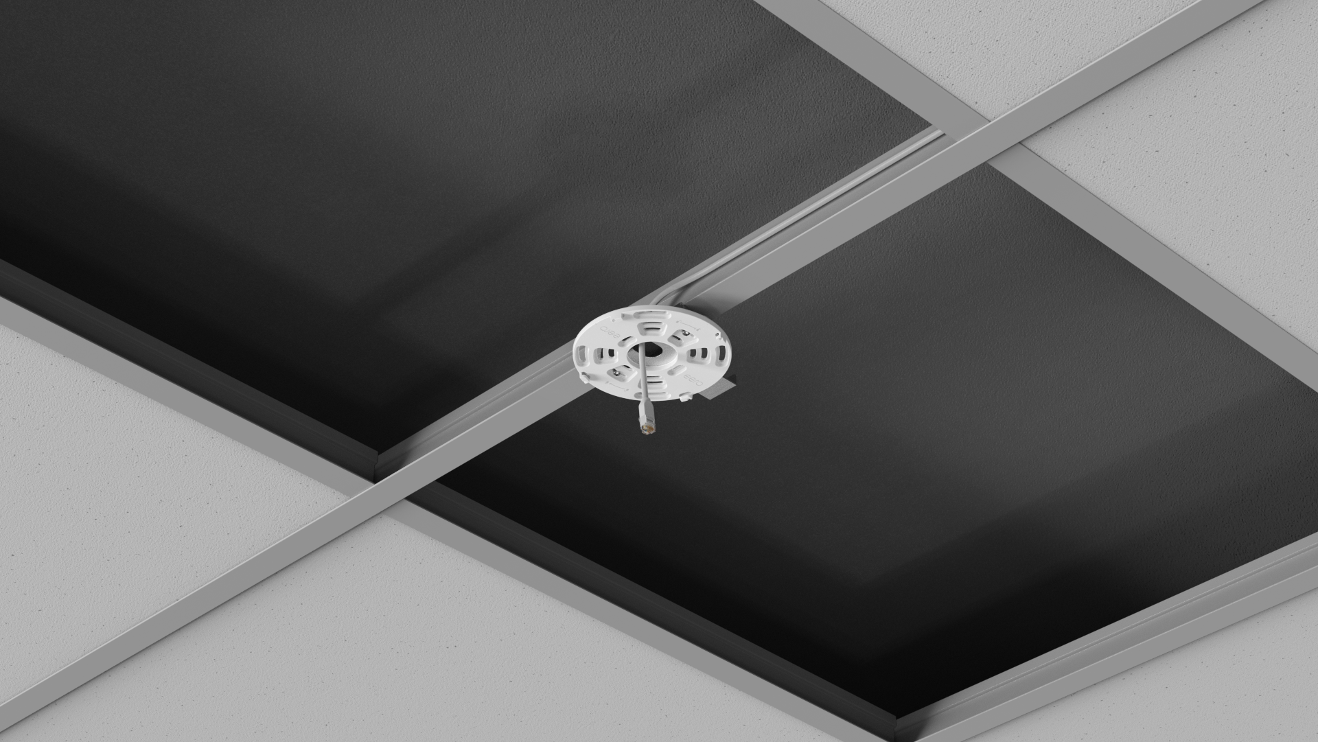 image (36).png